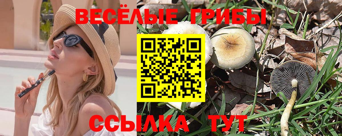 Псилоцибиновые грибы прущие грибы Губаха