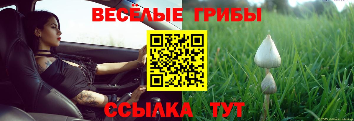 Псилоцибиновые грибы ЛСД  Галлюциногенные грибы Cubensis  купить наркотики цена  Губаха  Вход с VPN 